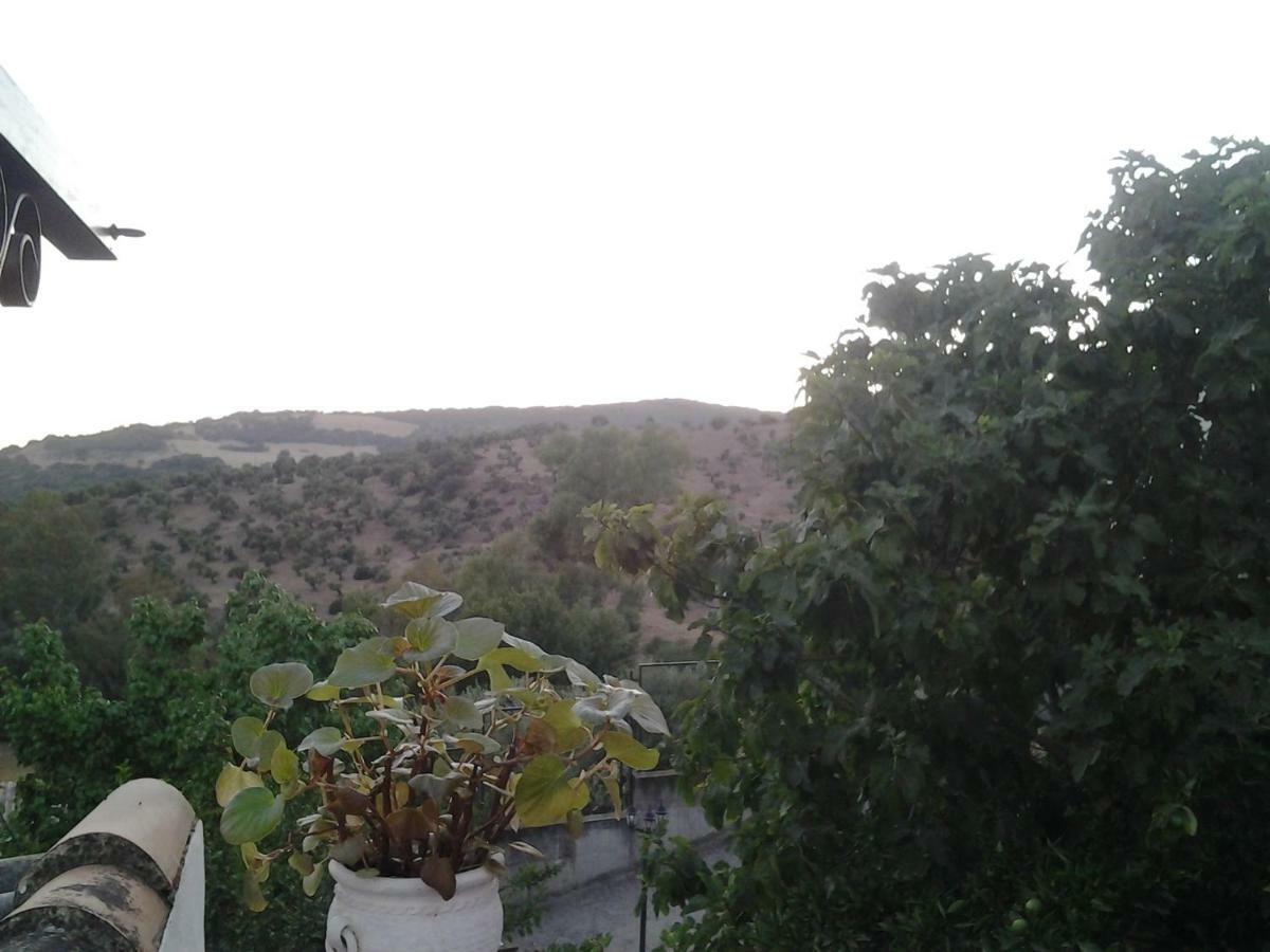 Casa Maria Luisa * El Bosque